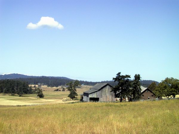 Barn on island